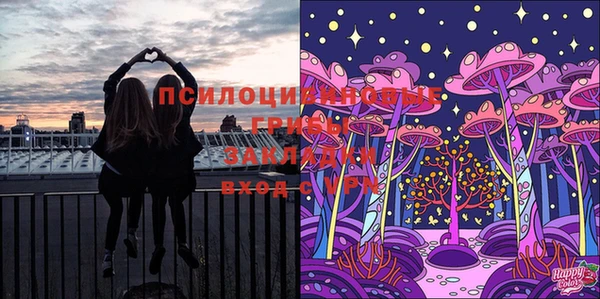 ПСИЛОЦИБИНОВЫЕ ГРИБЫ Абаза