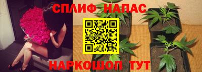 jwh Краснознаменск