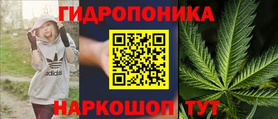 jwh Краснознаменск