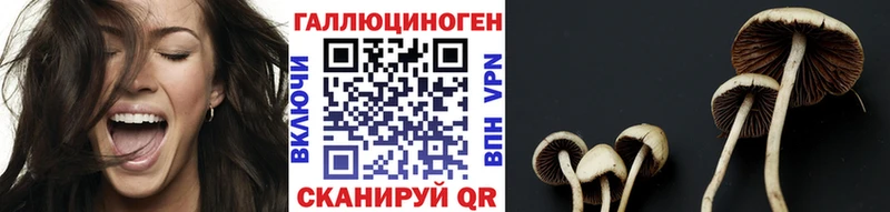 сколько стоит  Дубна  Псилоцибиновые грибы мицелий 