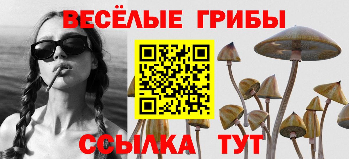Галлюциногенные грибы MAGIC MUSHROOMS  Псилоцибиновые грибы Psilocybe  Вход с VPN  Дубна 
